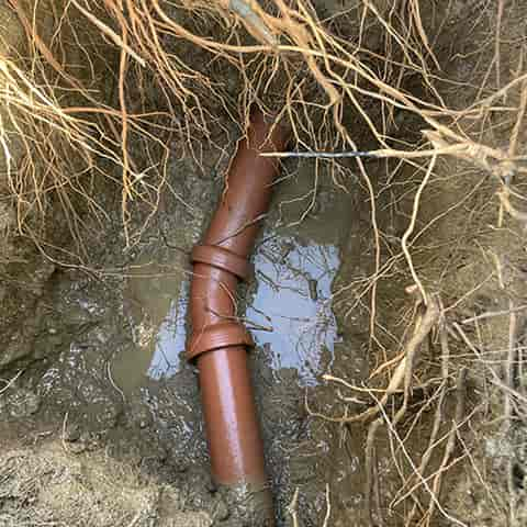 We were able to dig up the sewer line without damaging roots to tree or old clay pipe that had clogged from the tree roots.